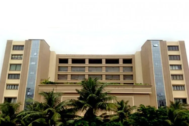 Gallery 4