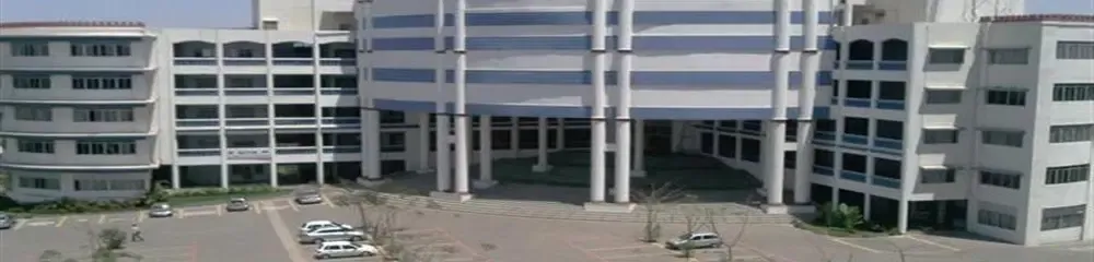Gallery 5