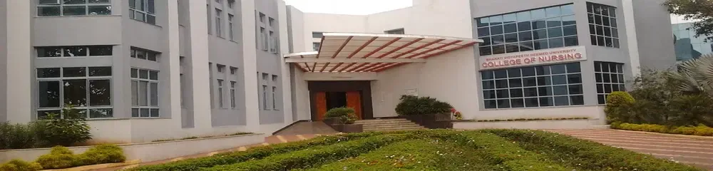 gallery 8