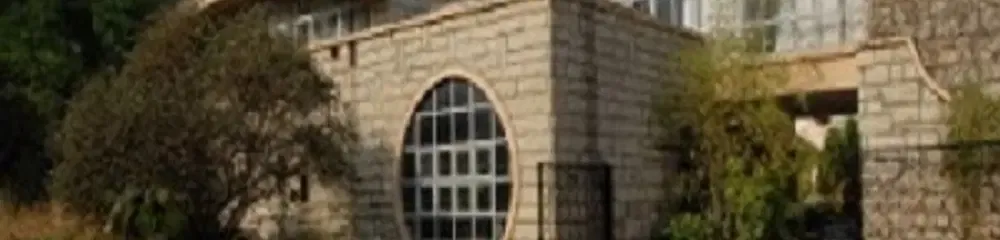 Gallery 5