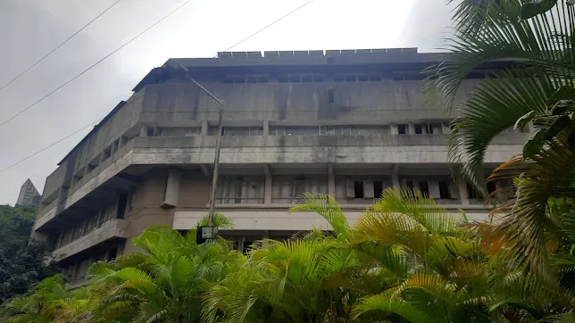 Gallery 5