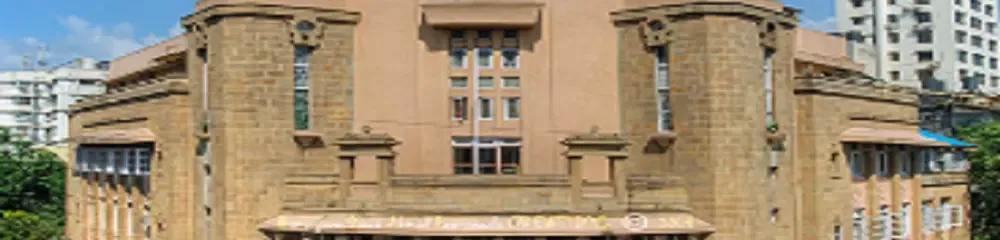 gallery 6