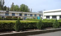 gallery 6
