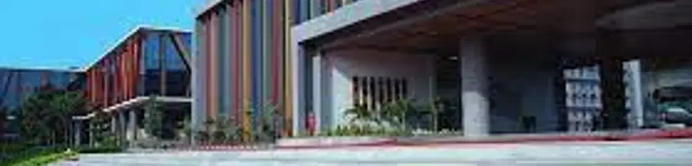 Gallery 5