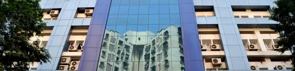 Gallery 4