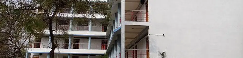 Gallery 4