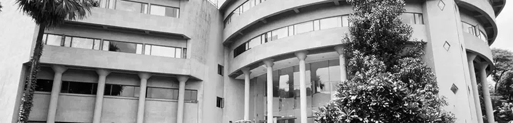 gallery 6