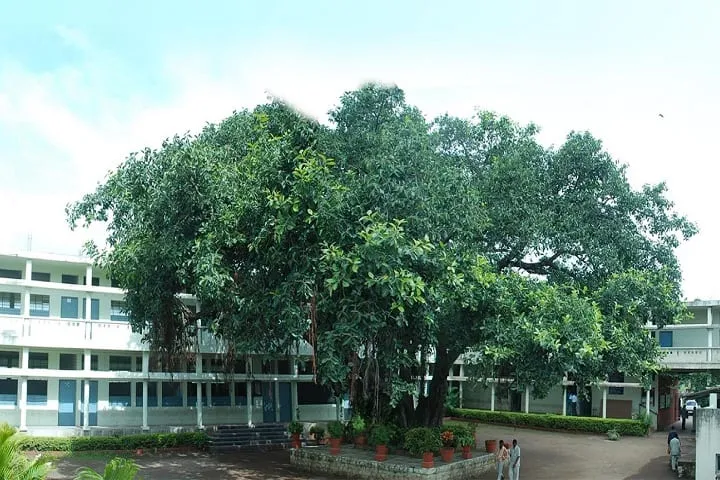 Gallery 5