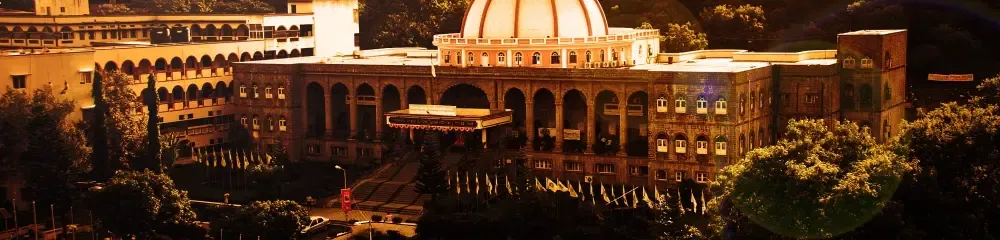 Gallery 5