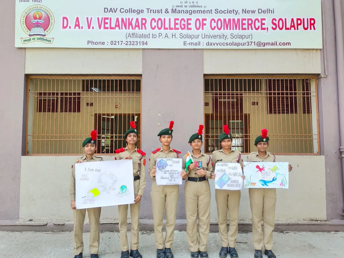 gallery 6