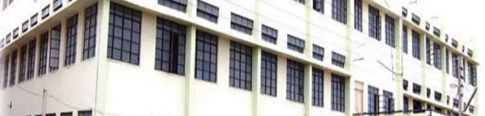 gallery 6