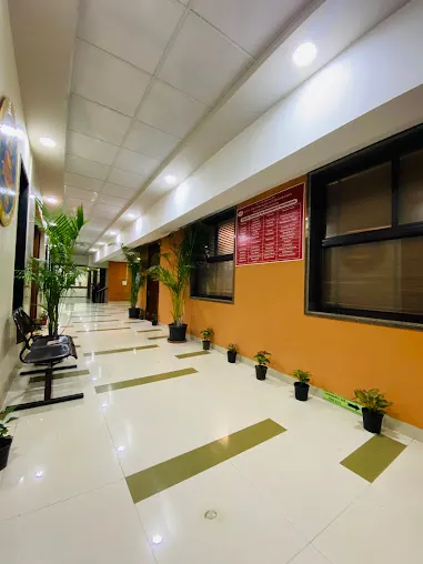 gallery 6