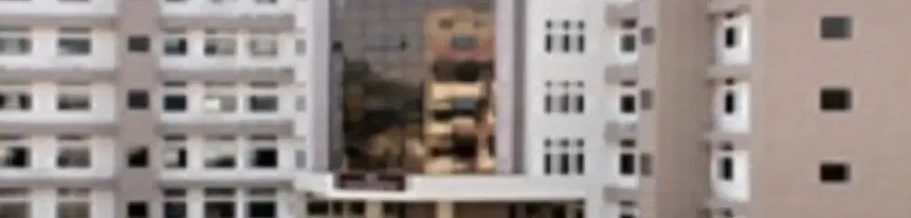 gallery 7