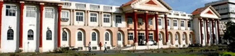 Gallery 5