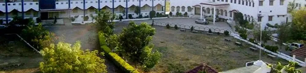gallery 6
