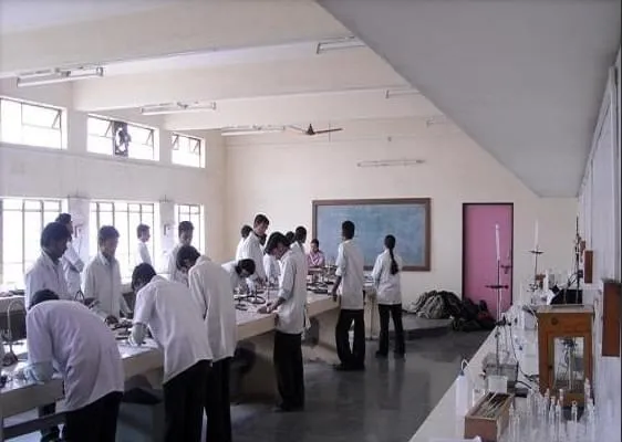 Gallery 5