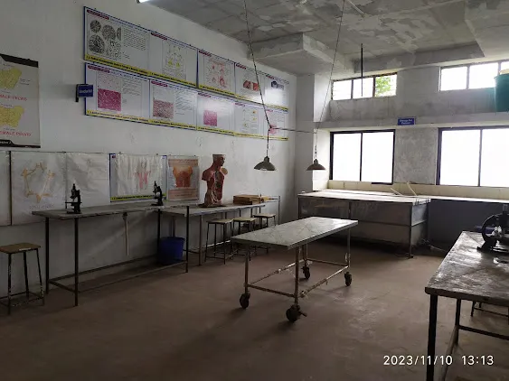 gallery 6