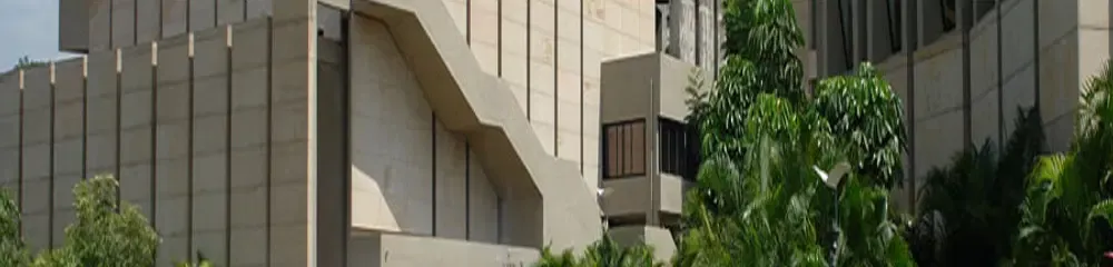 Gallery 4