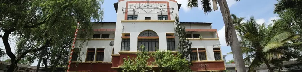 Gallery 4