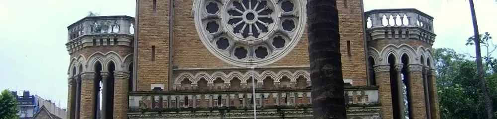 Gallery 5