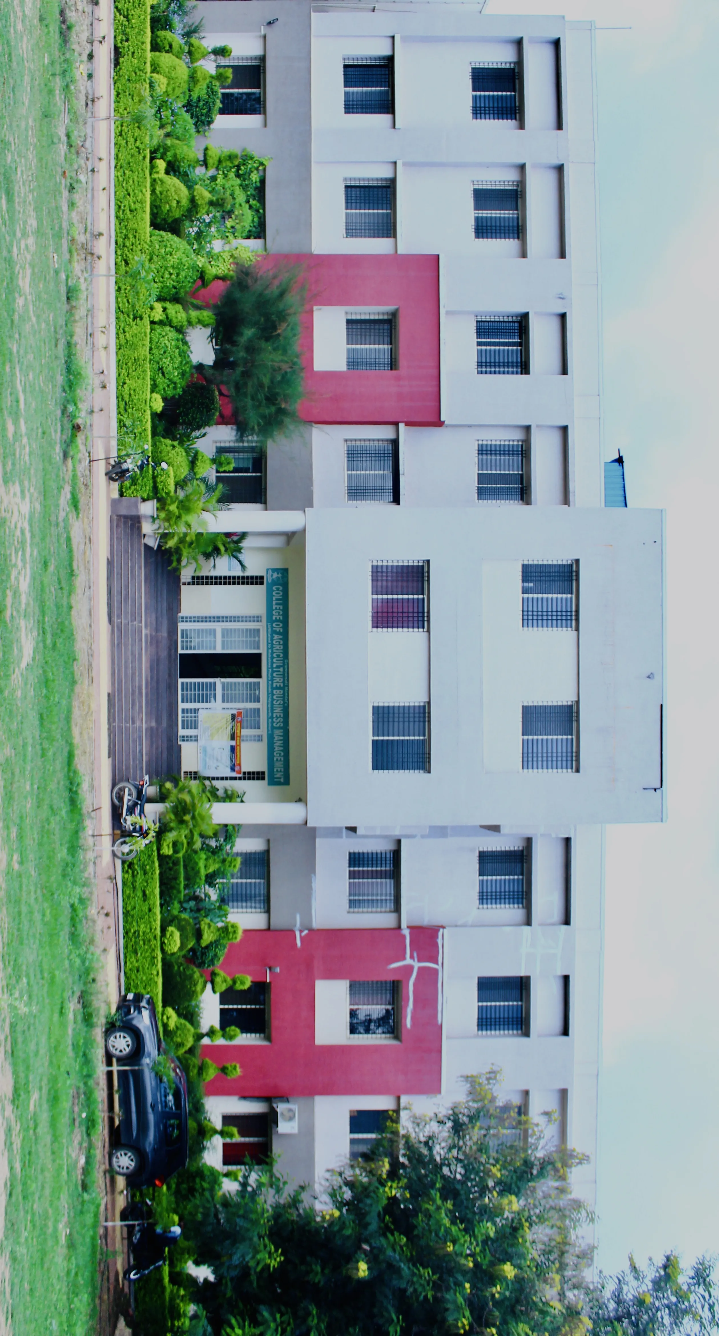 Gallery 5