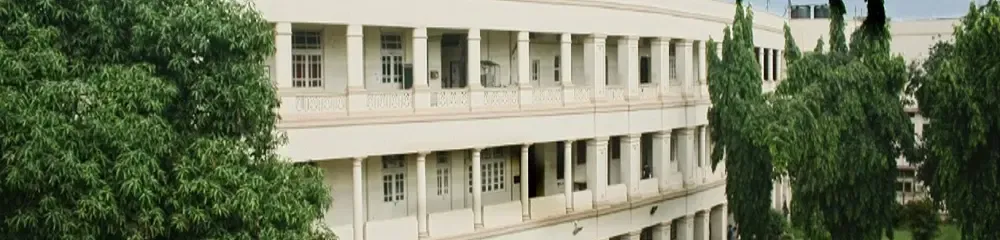 gallery 8