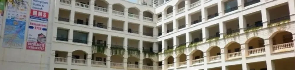 gallery 8