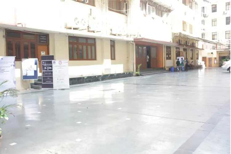 Gallery 4