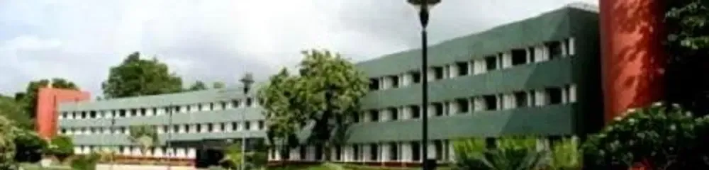 gallery 7
