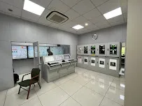 gallery 8