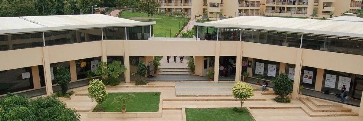 Gallery 4