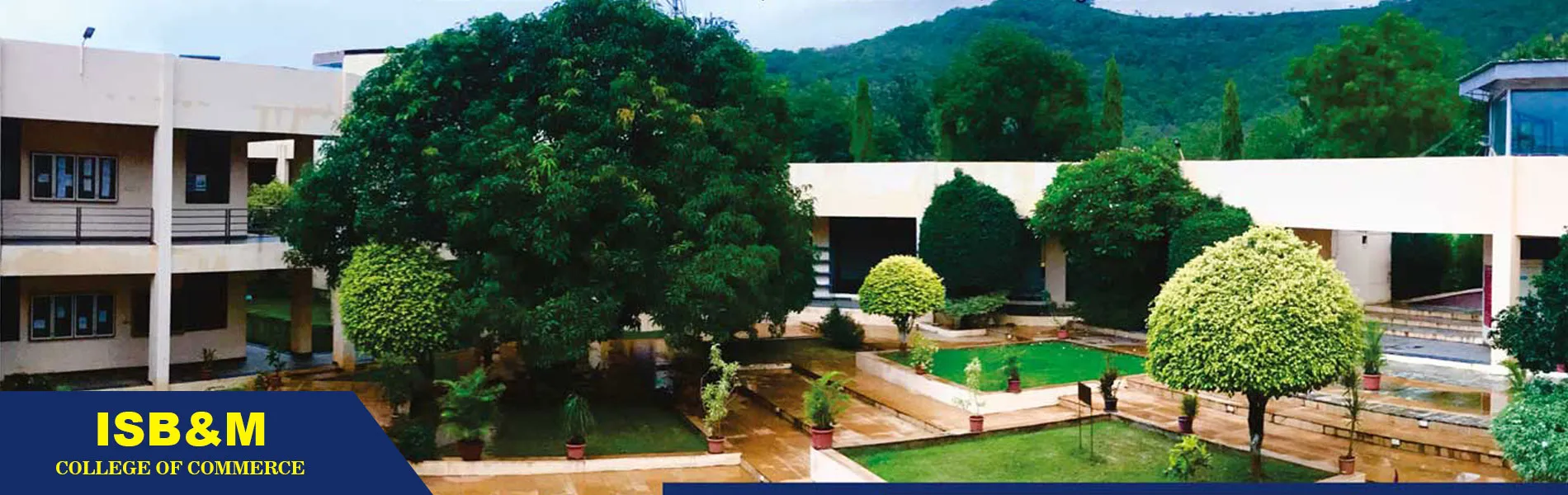 gallery 6