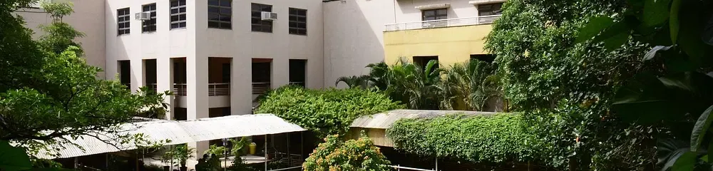Gallery 5