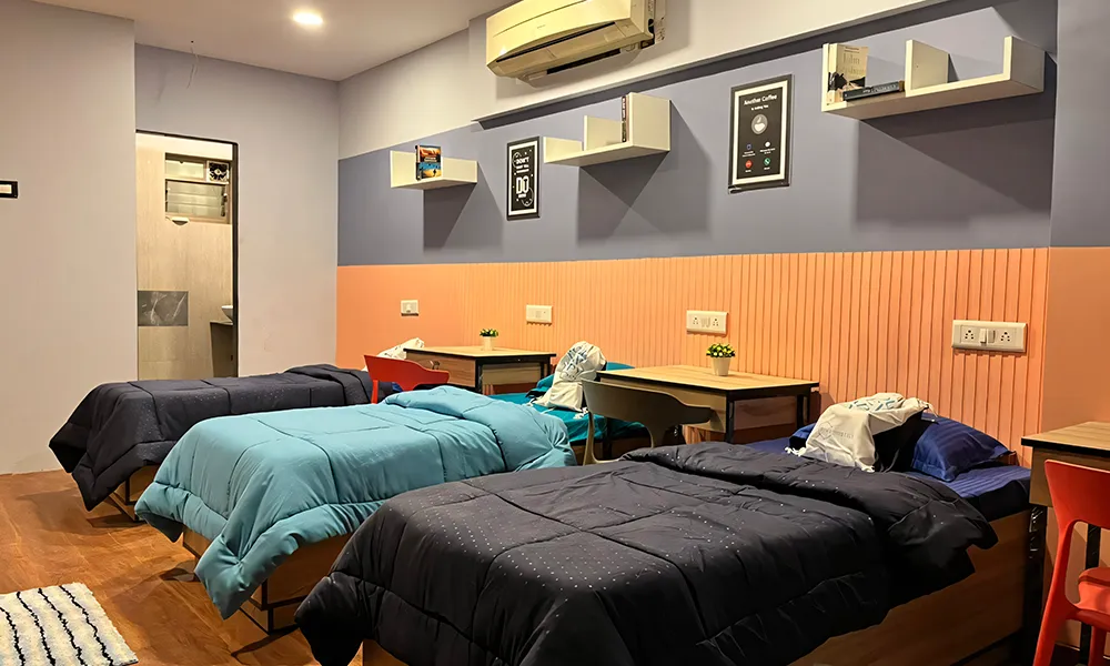 gallery 7