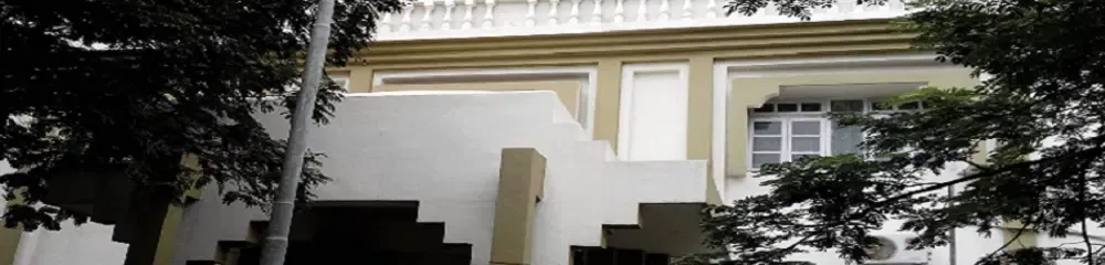 Gallery 5