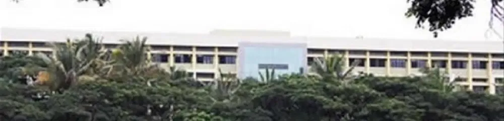 gallery 7