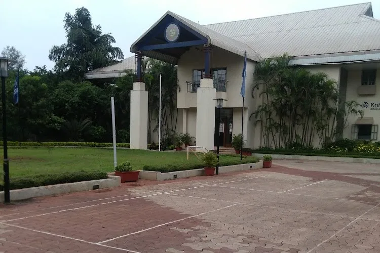 Gallery 4