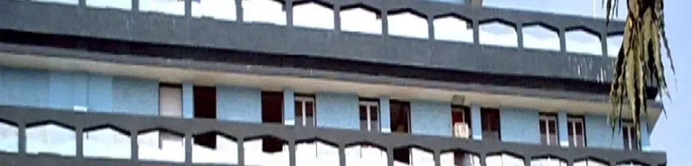 gallery 6