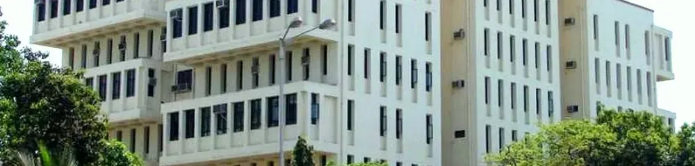 gallery 6