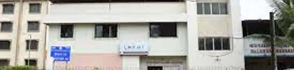 gallery 7