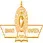 Bharati Vidyapeeth College of Pharmacy