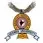 Bharati Vidyapeeth Deemed University Medical College and Hospital