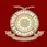 DY Patil Education Society
