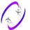 Flywheel Academy