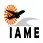 Institute of Aircraft Maintenance Engineering
