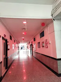 gallery 6