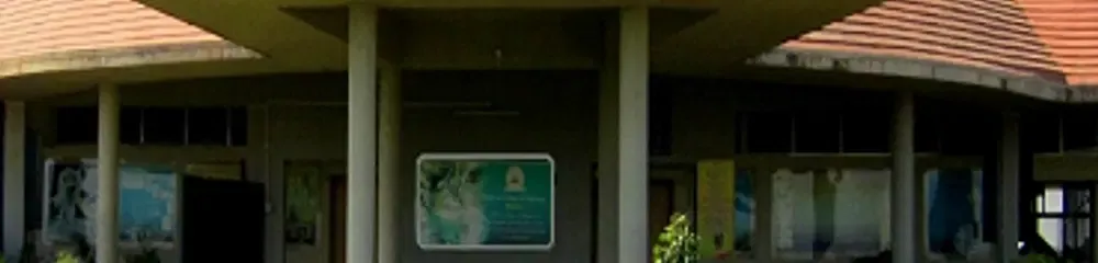 Gallery 5
