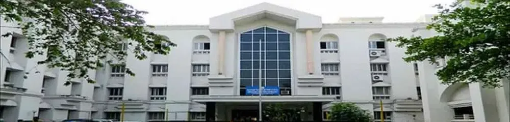 Gallery 4