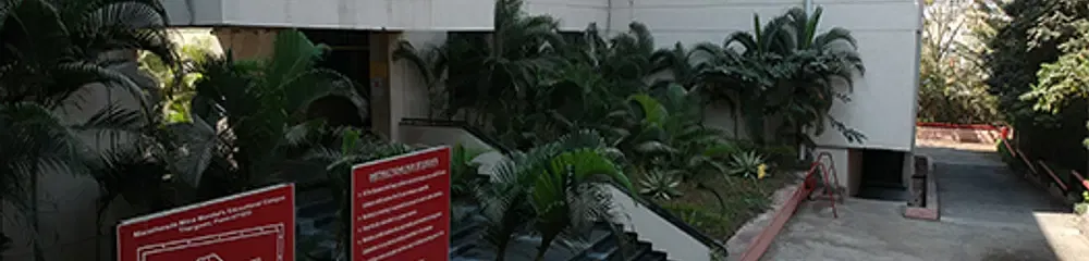 Gallery 5