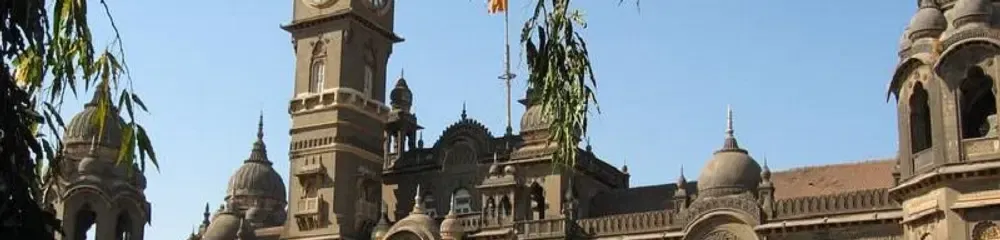 Gallery 4